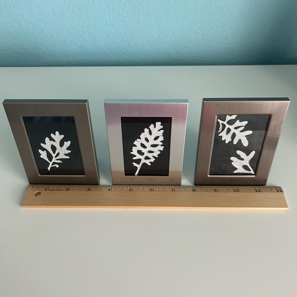 Handmade Home Décor- Pressed Dusty Miller in Silver Frames (Set of 4) - Picture 7 of 11